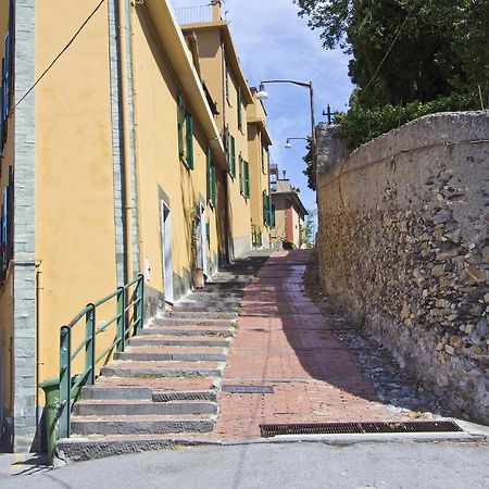 Laxmi Guesthouse B&B Cenova Dış mekan fotoğraf